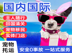 达州金垭机场物流国际宠物托运 【国